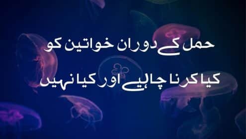 1حاملہ عورتوں کے لیے ہدایات
