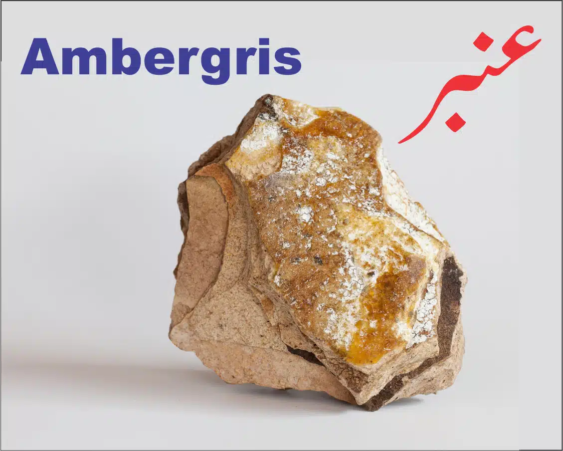 عنبرambergris