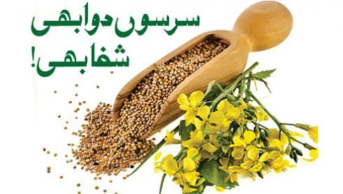 سرسوں دوا بھی شفا بھی