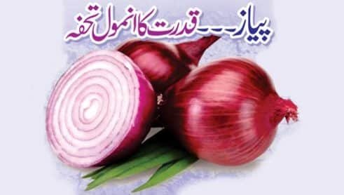 پیاز قدرت کا انمول تحفہ
