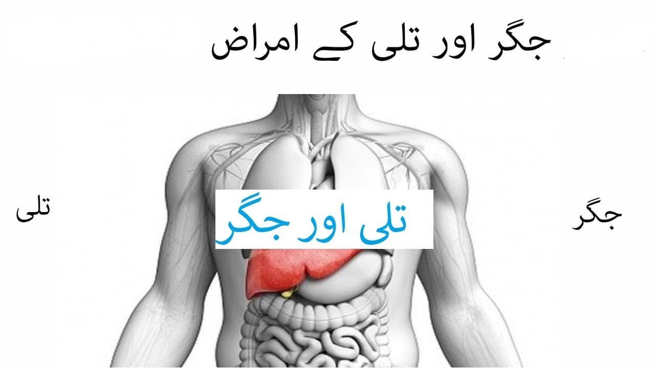 تلی اور جگر کی بیماریاں: علامات، وجوہات، ہومیوپیتھک علاج اور قدرتی طریقے