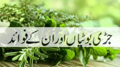 جڑی بوٹـیـوں سے قدرتی علاج کی اہمیت