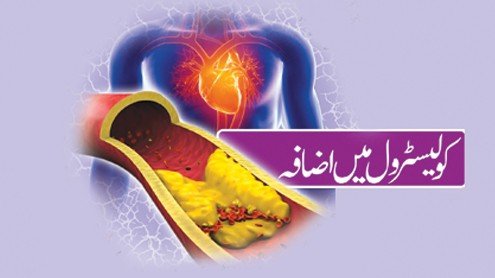 کولیسٹرول کیا ہے؟اسباب بچاوعلاج