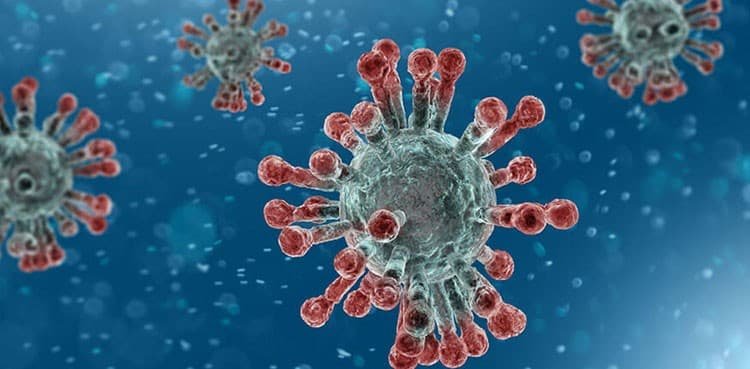 وائرس کا علاج virus
