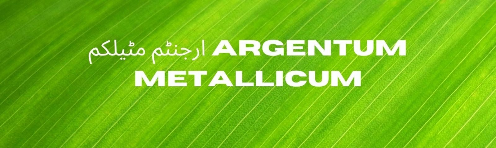 ارجنٹم مٹیلکم Argentum Metallicum