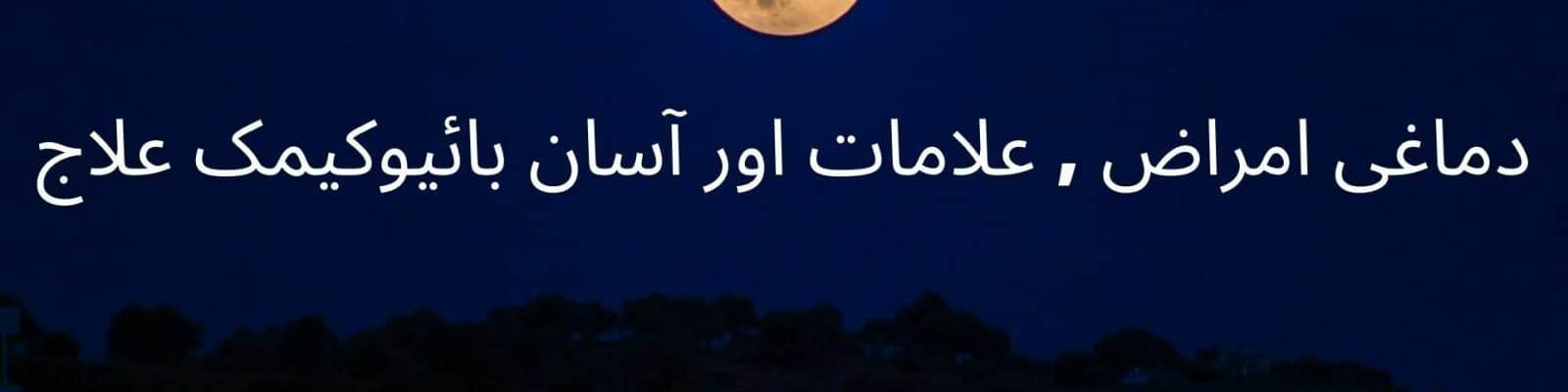دماغی امراض , علامات اور آسان بائیوکیمک علاج