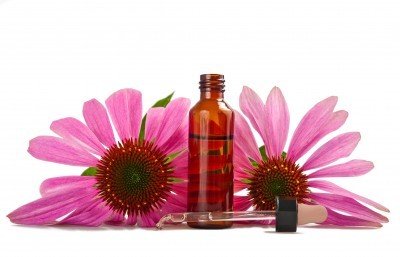 ECHINACEA