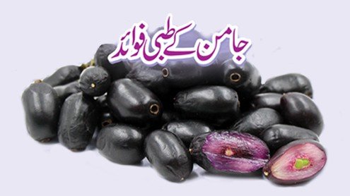 جامن کے طبی فوائد  Medicinal benefits of  Java plum