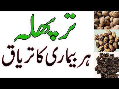 ترپھلہ کیا ہےاور اس کے فوائد کیا ہیں؟