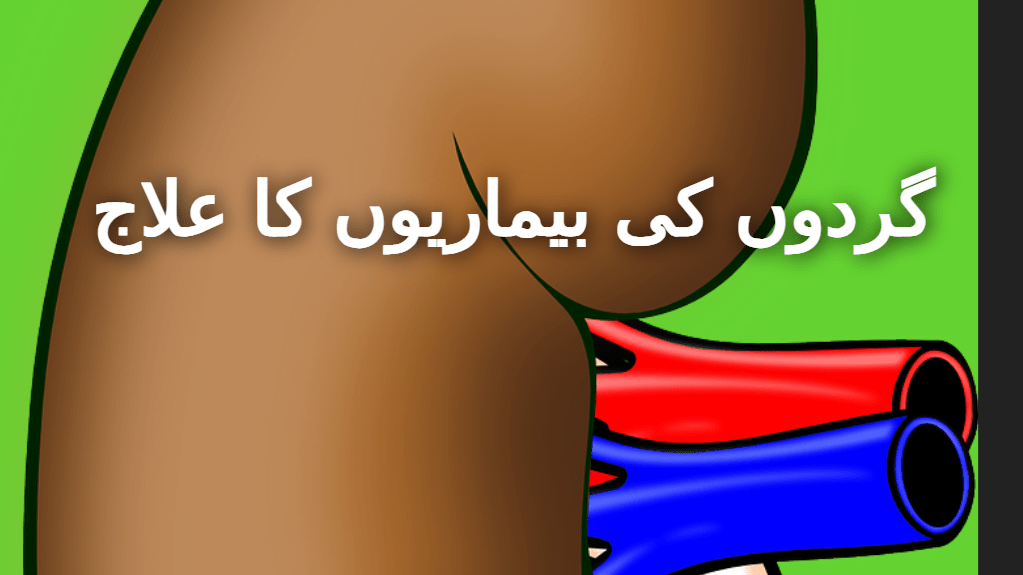 گردوں کی بیماریاں اور ان کا ہومیوپیتھک علاج