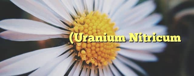 یورینیم نائٹریکم (Uranium Nitricum
