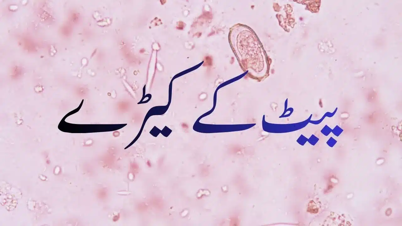 پیٹ کے کیڑے: وجوہات، علامات اور ہومیوپیتھک علاج
