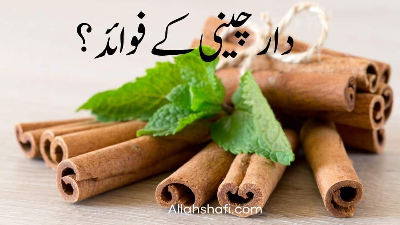 دارچینی کتنی قسم کی ہوتی ہے؟ فوائد، استعمال اور احتیاطیں